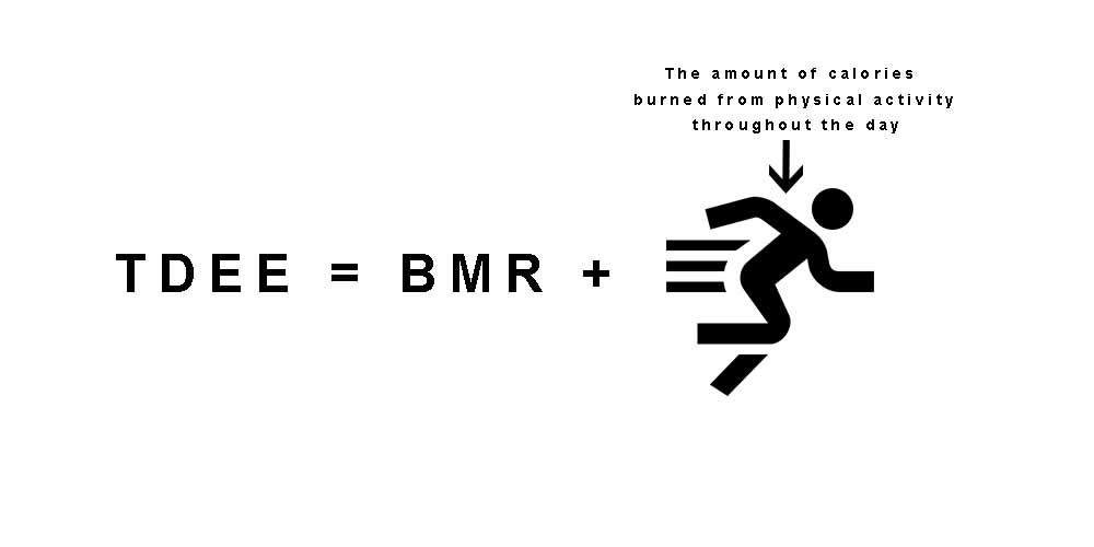 TDEE equals your BMR plus your physical activity